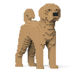 Jekca - Labradoodle 01S-MO2