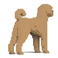 Jekca - Labradoodle 01S-MO2