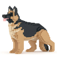 Jekca - German shepherd 02S