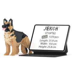 Jekca - German shepherd 02S