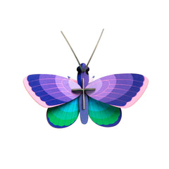 Studio Roof - Wall Art Butterflies - Blue Copper butterfly