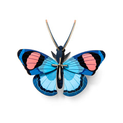 Studio Roof - Wall Art Butterflies - Peacock Butterfly