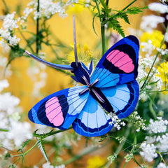 Studio Roof - Wall Art Butterflies - Peacock Butterfly