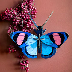 Studio Roof - Wall Art Butterflies - Peacock Butterfly