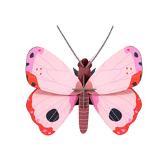 Studio Roof - Wall Art Butterflies - Rosora