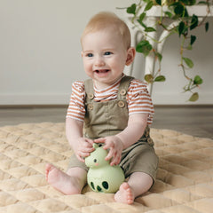 silicone rattle - dino