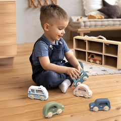 car display case - speedy monkey
