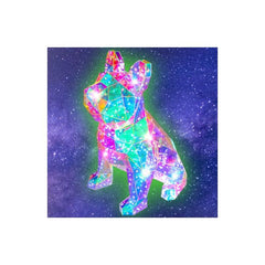 prismic - dog lantern