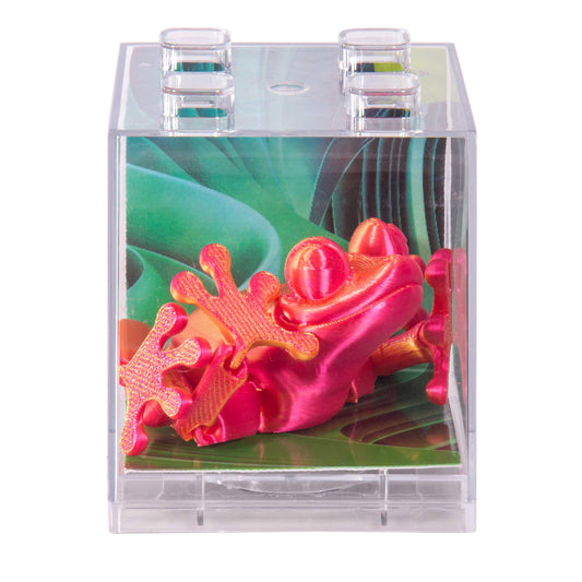 3D sensory frogs