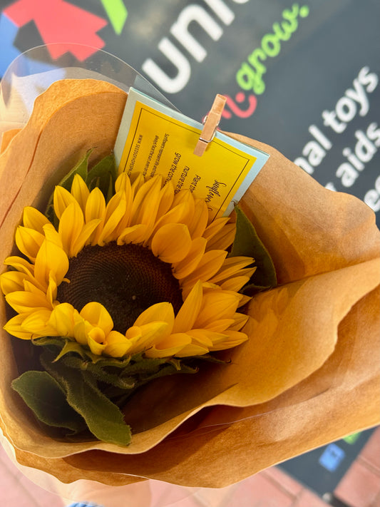 Ben's Bunch Sunflowers 2026