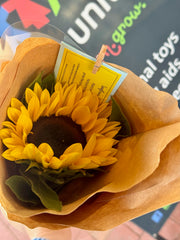 Ben's Bunch Sunflowers 2026