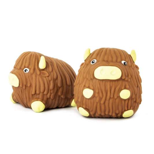 Squidgy highland cow