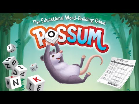 possum