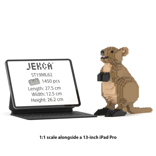 jekca - quokka 01S