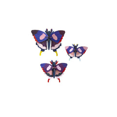 Studio Roof - Wall Art Butterflies  - Swallowtail butterfly (A4) set of 3