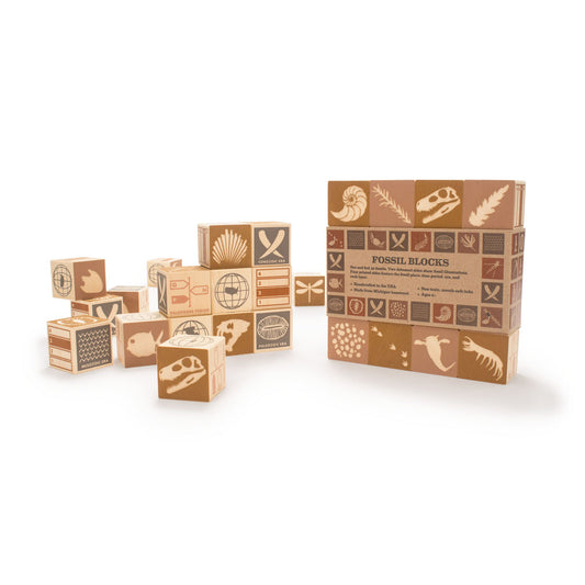 fossil blocks