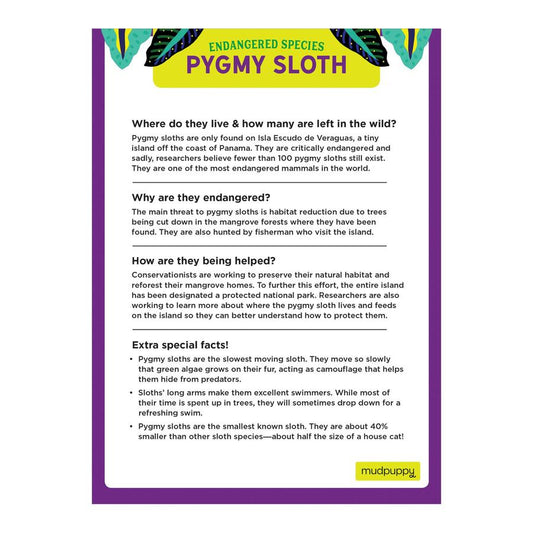 Pygmy Sloth 300 Pce Puzzle