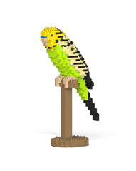 Jekca Budgie 01S-M01