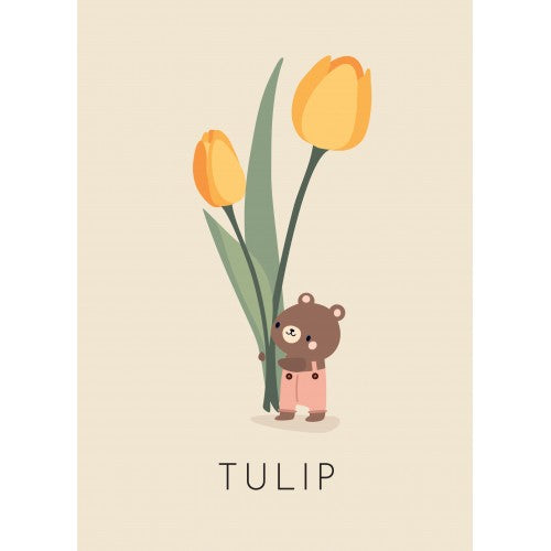 my first moments card & book set