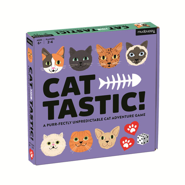 cat tastic adventure game