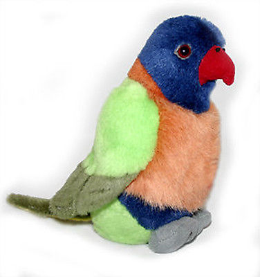 wild republic - rainbow lorikeet