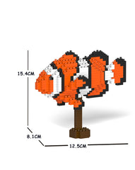 Jekca Percula Clownfish 01S