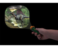 Torch projectors