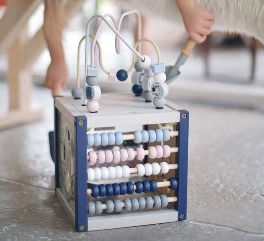 everearth- my first multi-play activity cube