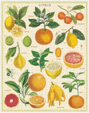 citrus vintage 1000pc puzzle