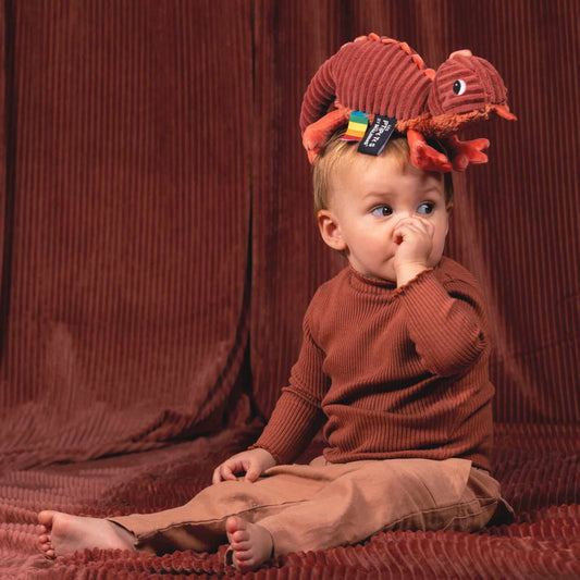 ptipotos the chameleon