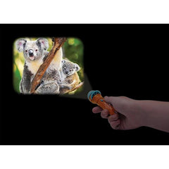 Torch projectors