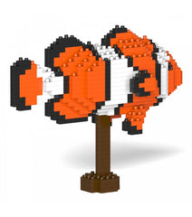 Jekca Percula Clownfish 01S