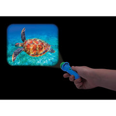 Torch projectors