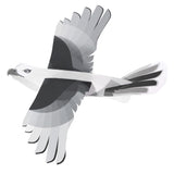 soaring bird glider