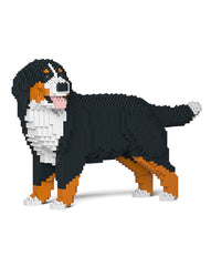 Jekca Bernese Mountain Dog 03S