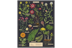 vintage puzzle- herbarium