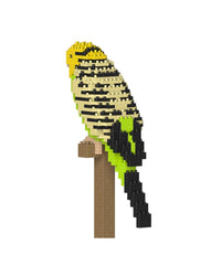 Jekca Budgie 01S-M01