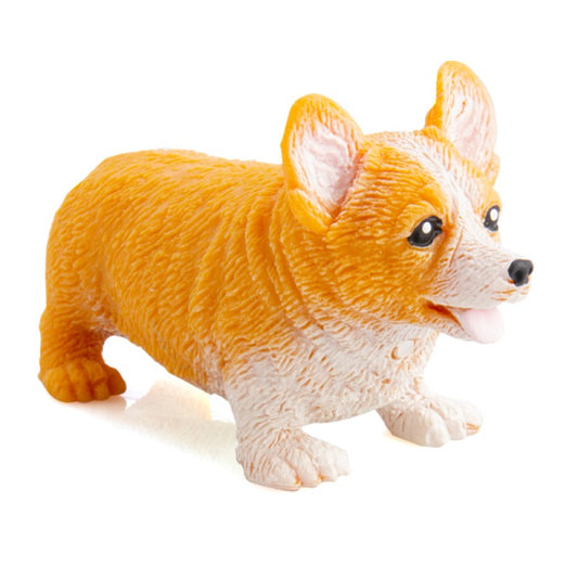 stretch corgi