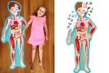 travel, learn & explore - human body puzzle