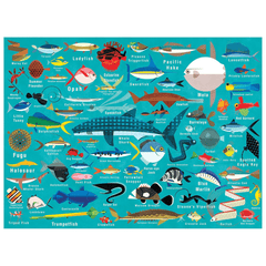 ocean life 1000pc