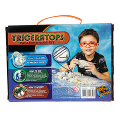 triceratops palaeontology kit