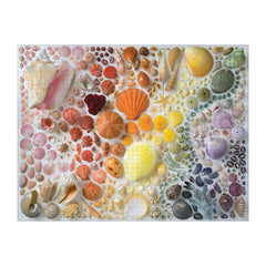 seashells 2000pc puzzle