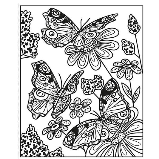 magic water painting - butterflies
