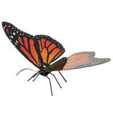 metal earth - monarch butterfly